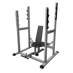 Скамья для жима сидя Iron King IK 103 