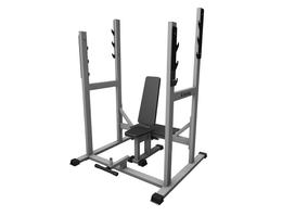 Скамья для жима сидя Iron King IK 103 