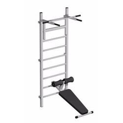 Шведская стенка с навесным оборудованием Iron King IK310