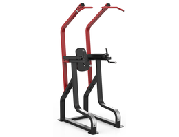 Поднятие коленей / брусья / турник Aerofit Sterling SL7045+SL7045OPT