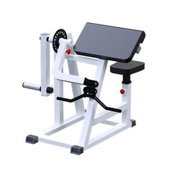 Бицепс-трицепс маятниковый AR019.3