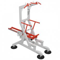 Гравитрон (подтягивание и отжимание) Iron King S308