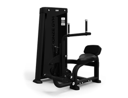 Пресс/спина BRONZE GYM NEO 85