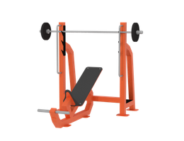 Скамья для жима под углом 20 кг Iron King S202