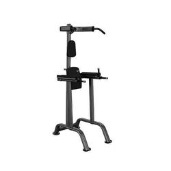 Тренажер поднятие коленей/брусья/турник Aerofit IT7010 + IT7010 OPT