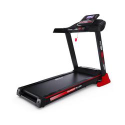 Беговая дорожка DFC FYTTER RU-10 PRO T-RU-10XR